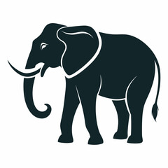 elephant cartoon illustration