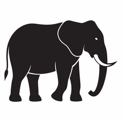 elephant cartoon illustration