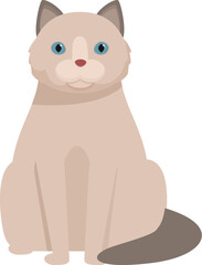 Adorable ragdoll cat sitting with its beautiful blue eyes