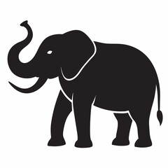 elephant cartoon illustration