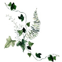 Watercolor floral card featuring grass, herbs, bedstraw and ferns. Hand-drawn poster of a plant bouquet on a white background. An outdoor illustration for design, printing or fabric background.