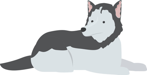 Cartoon illustration of a siberian husky dog laying down and relaxing © nsit0108