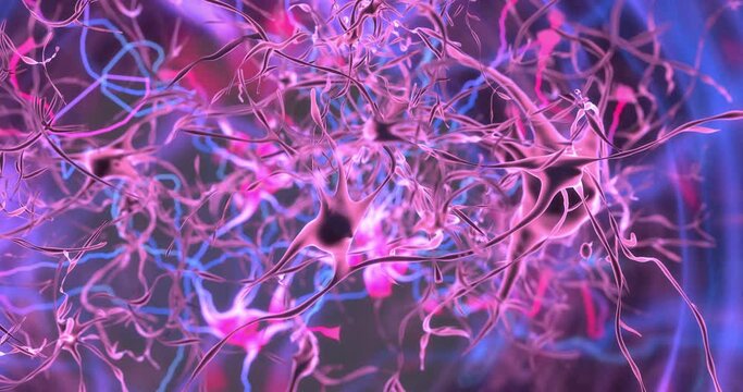 Electrochemical Signaling in the Brain's Neural System