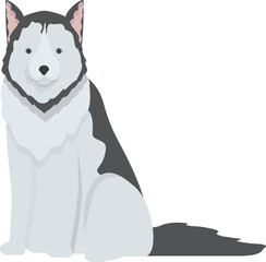 Illustration of a beautiful husky dog sitting and looking forward, isolated on white background