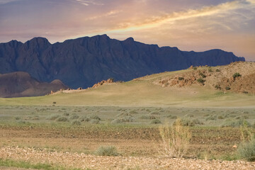 Namibia, the Namib desert, wild landscape, red dunes in background
