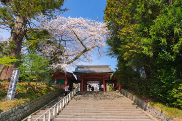宮城県塩竈市 春の鹽竈神社 東神門