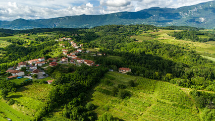 Obraz premium Aerial View of Rolling Hills and Vineyards in Vipava Valley