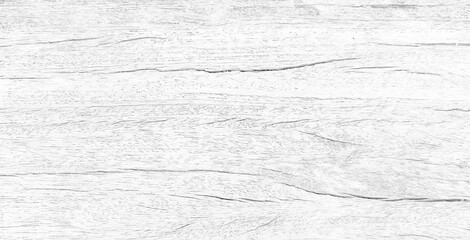 White wood texture with beautiful natural patterns in retro concept.