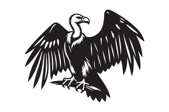 recommend clip art: Vulture silhouette vector art illustration