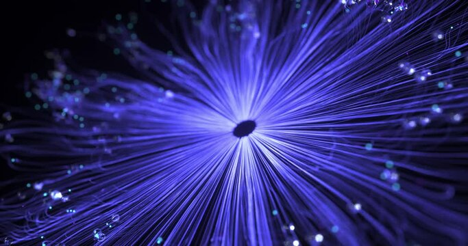 Stellar Blossom: Blue-Purple Particles Explode into Energy Flowers