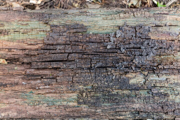 Background of surface of old cracked dilapidated rotten wooden plank