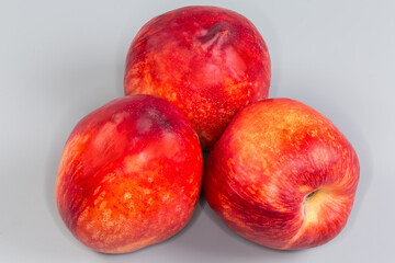 Three ripe nectarines on a gray background close-up