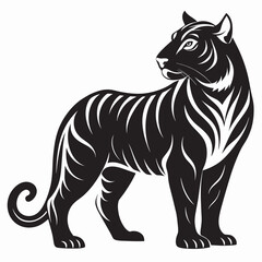 illustration of a tiger