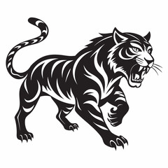 black and white tiger