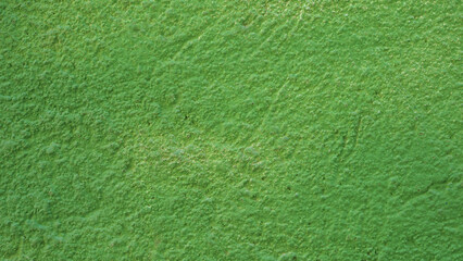green plaster texture background