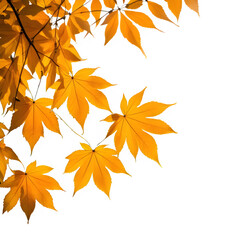 Natural autumn background