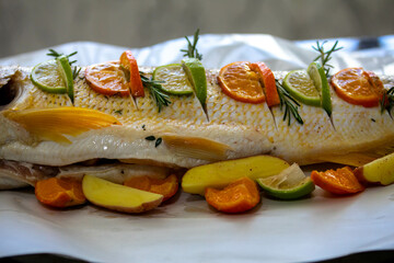 Wonderful Brazilian freshwater fish  or Salminus maxillosus known as dourado, the king of the river