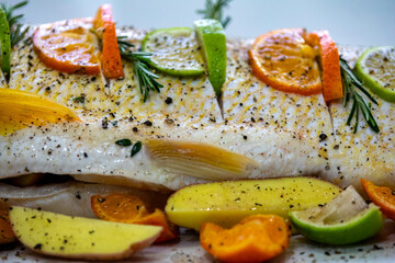 Wonderful Brazilian freshwater fish  or Salminus maxillosus known as dourado, the king of the river