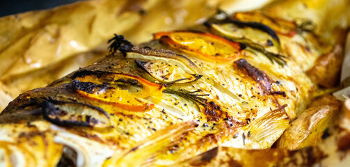 Wonderful Brazilian freshwater fish  or Salminus maxillosus known as dourado, the king of the river