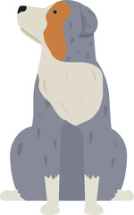 Illustration of an australian shepherd dog sitting and looking up, isolated on a white background