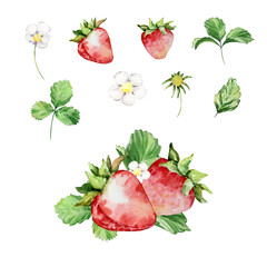 Watercolor strawberry bush with flowers and butterfly