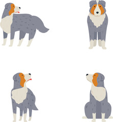 Collection of cute illustrated australian shepherd dogs in various poses on a white background