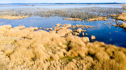 Gespensterwald – Abgestorbene Bäume im Peenetal 