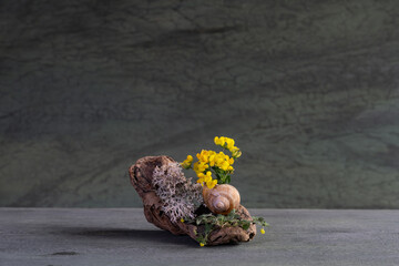 miniature composition of wildflowers using roots, moss, lichen, naturalistic style.
