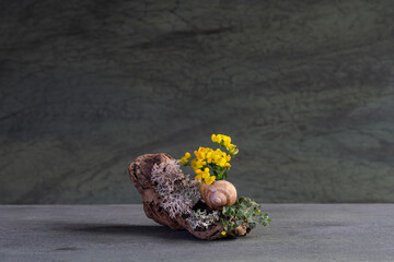 miniature composition of wildflowers using roots, moss, lichen, naturalistic style.