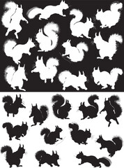 twenty four squirrels isolated on white and black