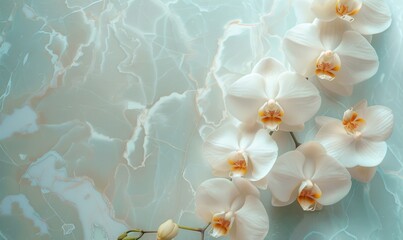 Polished marble background with wreath of orchids