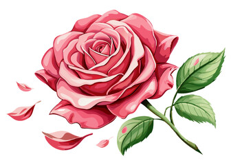 Watercolor rose vector illustration 
