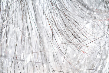 Light grey and white tinsel background with bokeh for Christmas.