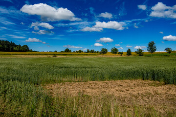 Obraz premium Feuchter Acker nach vielen Regenfällen