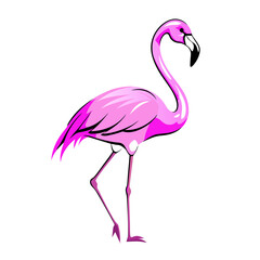 Obraz premium flamingo with pink feathers, standing on one leg.