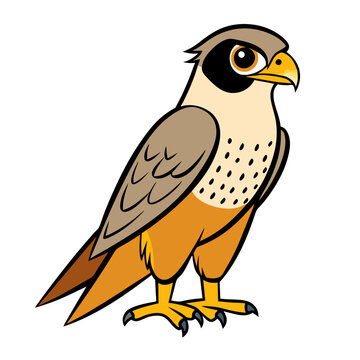 recommend clip art: cartoon illustration of falcon with orange and brown feathers, transparent