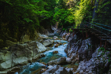 柿其渓谷　南木曽町