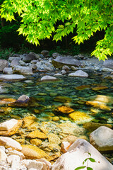 新緑の柿其渓谷　