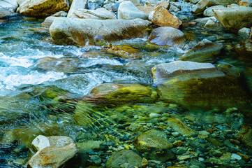 柿谷渓谷の清らかな清流
