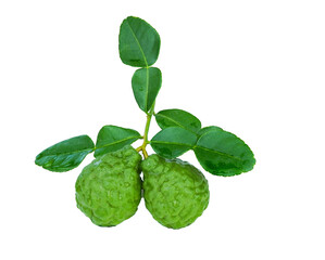 Bergamot fruit with leaf isolated on white background with tranaparent.