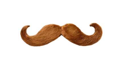 Mustache on a transparent background
