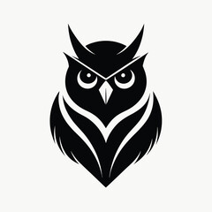 owl on white background