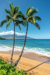 Palm Trees on a Tropical Beach: A picturesque view of tall palm trees swaying over a pristine, sandy beach with clear blue water in the background. 