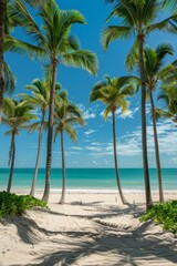 Palm Trees on a Tropical Beach: A picturesque view of tall palm trees swaying over a pristine, sandy beach with clear blue water in the background. 