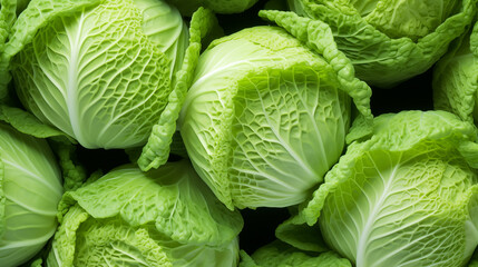 Fototapeta premium Cabbage Greenery, Texture Background Abstract Image Pattern, For Wallpaper, Background, Cover and Screen of Cell Phone, Smartphone, Computer, Laptop, Format 9:16 and 16:9 - PNG