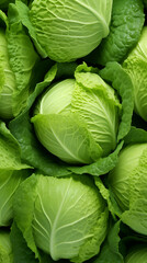 Obraz premium Cabbage Greenery, Texture Background Abstract Image Pattern, For Wallpaper, Background, Cover and Screen of Cell Phone, Smartphone, Computer, Laptop, Format 9:16 and 16:9 - PNG