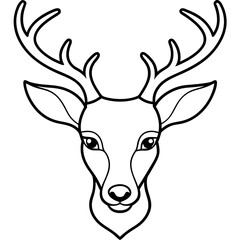 deer head isolated