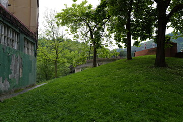 alley in the park