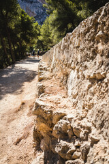 canyon in the mountains