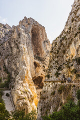canyon in the mountains